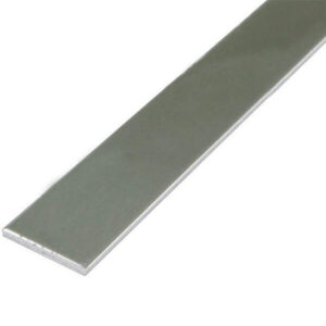 PLETINA INOXIDABLE 10 X 50MM - Imagen 1